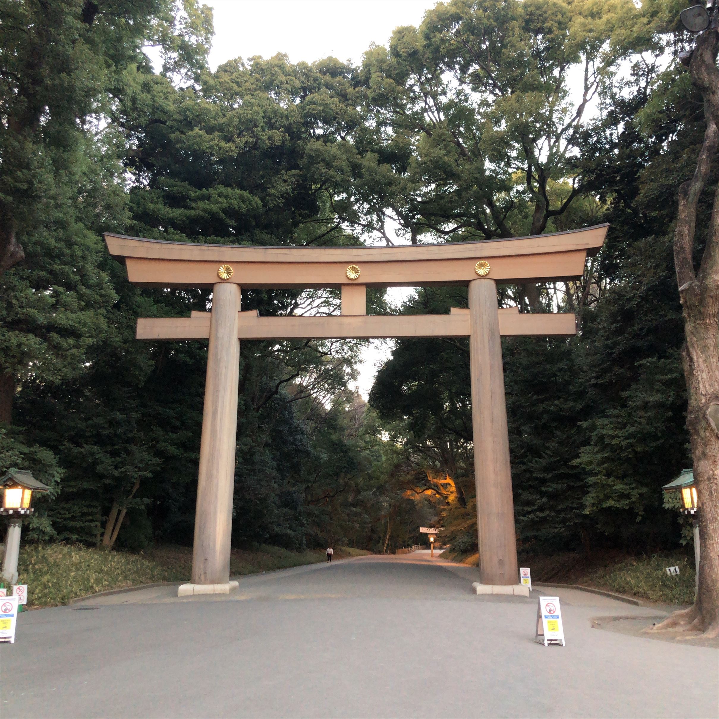 【東京・渋谷】明治神宮参拝レポ｜鎮守の杜と御朱印をいただいてきました